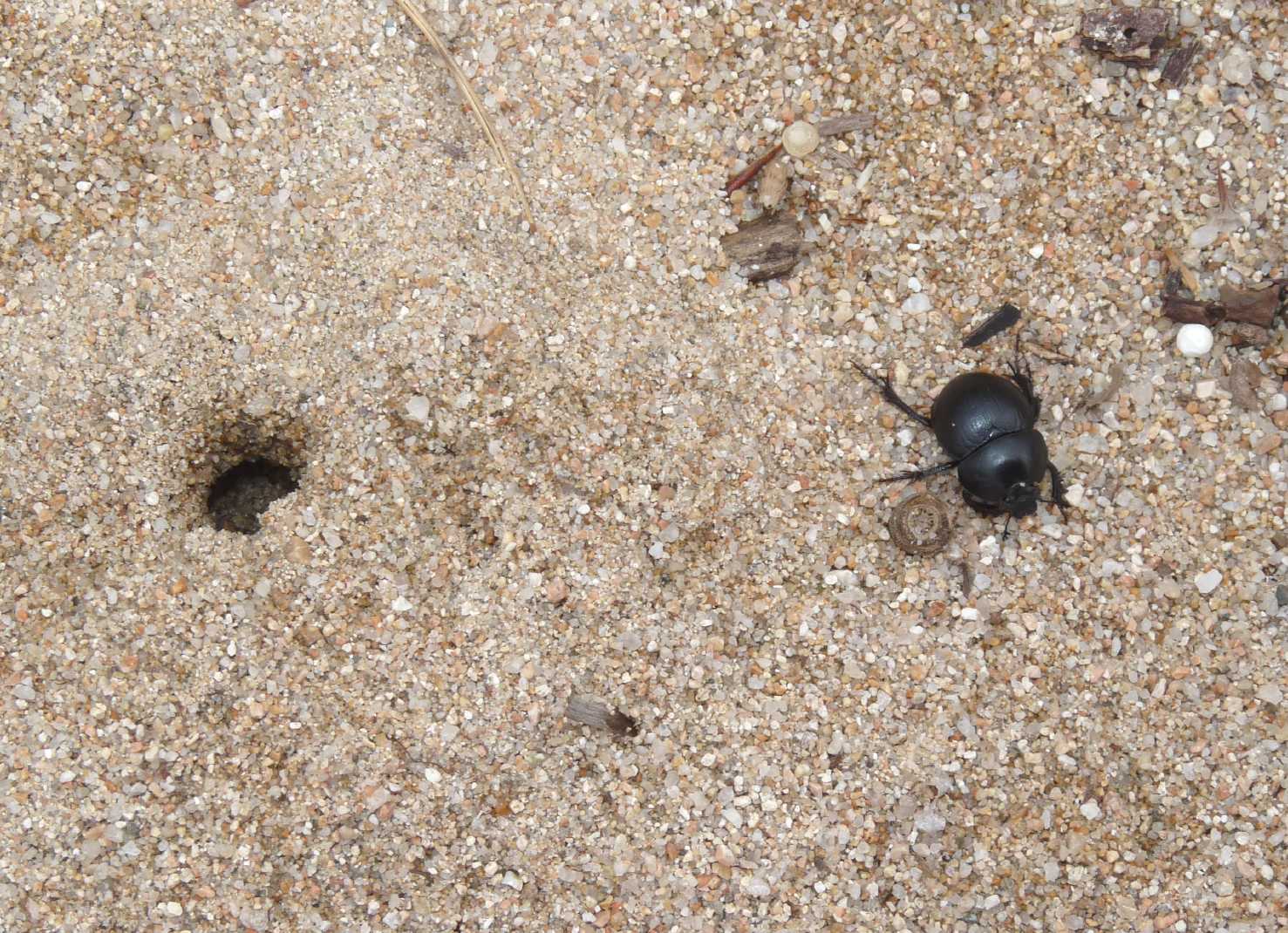 Le dune dopo la pioggia